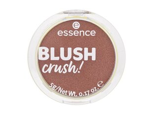 Põsepuna Essence Crush! 5 g hind ja info | Päikesepuudrid ja põsepunad | hansapost.ee