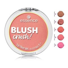 Essence Blush Crush! 5ml цена и информация | Бронзеры (бронзаторы), румяна | hansapost.ee