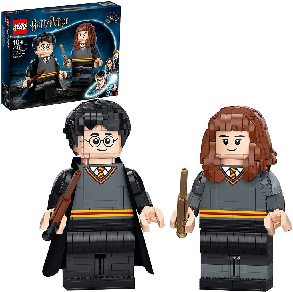 Lego Harry Potter ja Hermione Granger hind ja info | Klotsid ja konstruktorid | hansapost.ee