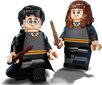 Lego Harry Potter ja Hermione Granger hind ja info | Klotsid ja konstruktorid | hansapost.ee