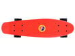 Riedlentė Fishboard, 55 cm цена и информация | Rulad | hansapost.ee