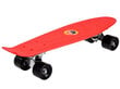 Riedlentė Fishboard, 55 cm цена и информация | Rulad | hansapost.ee