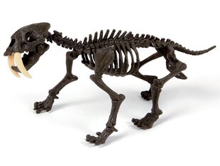 Loominguline komplekt Tiigri skelett Smilodon Clementoni hind ja info | Arendavad laste mänguasjad | hansapost.ee