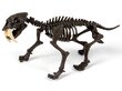 Loominguline komplekt Tiigri skelett Smilodon Clementoni цена и информация | Arendavad laste mänguasjad | hansapost.ee