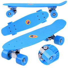 Скейтборд Fishboard, 55 см цена и информация | Скейтборды | hansapost.ee
