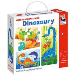 Pusled Dinosaurused Kapitan Nauka, KS0678, 13 tk hind ja info | Arendavad laste mänguasjad | hansapost.ee