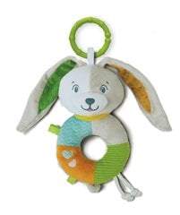 Kõristi jänes Clementoni Baby, 17787 price and information | Toys for babies | hansapost.ee