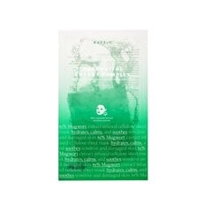 Питательная маска для лица Axis-Y Mugwort Green Vital Energy Complex Sheet Mask, 27 мл цена и информация | Маски для лица, патчи для глаз | hansapost.ee