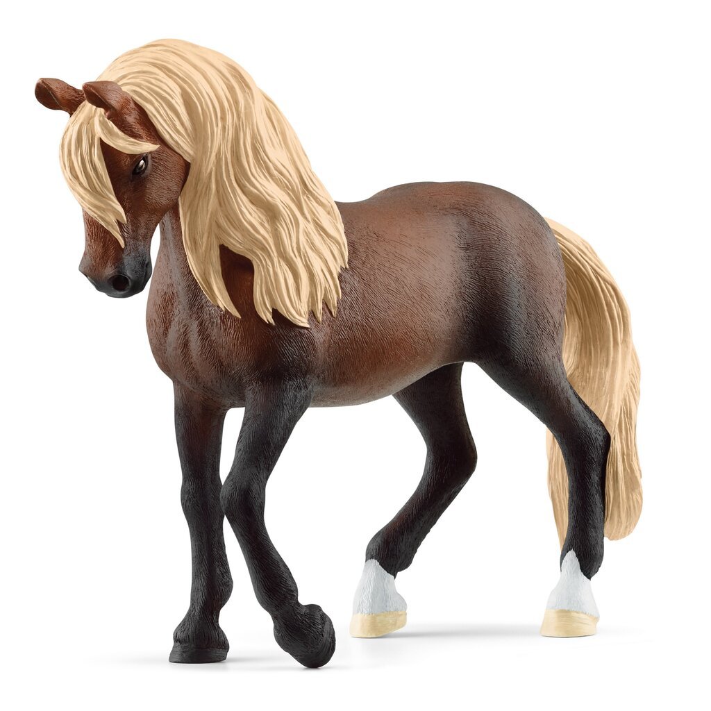 Figuur Paso Peruano tõuhobune Schleich Horse Club цена и информация | Mänguasjad poistele | hansapost.ee