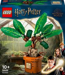 76433 Lego® Harry Potter Nõiajuur hind ja info | Klotsid ja konstruktorid | hansapost.ee