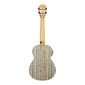 Elektroakustiline tenorukulele Cascha Bamboo Graphite HH 2317E цена и информация | Kitarrid | hansapost.ee