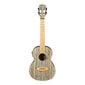 Elektroakustiline tenorukulele Cascha Bamboo Graphite HH 2317E цена и информация | Kitarrid | hansapost.ee