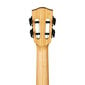 Elektroakustiline tenorukulele Cascha Bamboo Graphite HH 2317E цена и информация | Kitarrid | hansapost.ee