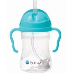 Kõrrega joogitass B.Box BL00513, 6+ kuud, 240 ml hind ja info | B.BOX Beebide toitmiseks | hansapost.ee