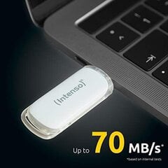 Intenso Memory 128GB USB 3.1 цена и информация | USB накопители данных | hansapost.ee