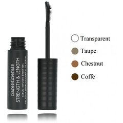 Тонизирующий гель для бровей с сывороткой bareMinerals Strength & Long Serum Infused Brow Gel, Honey, 5 мл цена и информация | bareMinerals Декоративная косметика | hansapost.ee