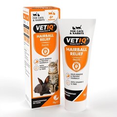 Karvapalli väljutamist soodustav pasta Vetiq Hairball Relief, 70 g hind ja info | Toidulisandid, vitamiinid ja parasiiditõrje | hansapost.ee