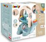 Pallirada, tõmbemänguasi Kilpkonn 2-1, Smoby цена и информация | Beebide mänguasjad | hansapost.ee