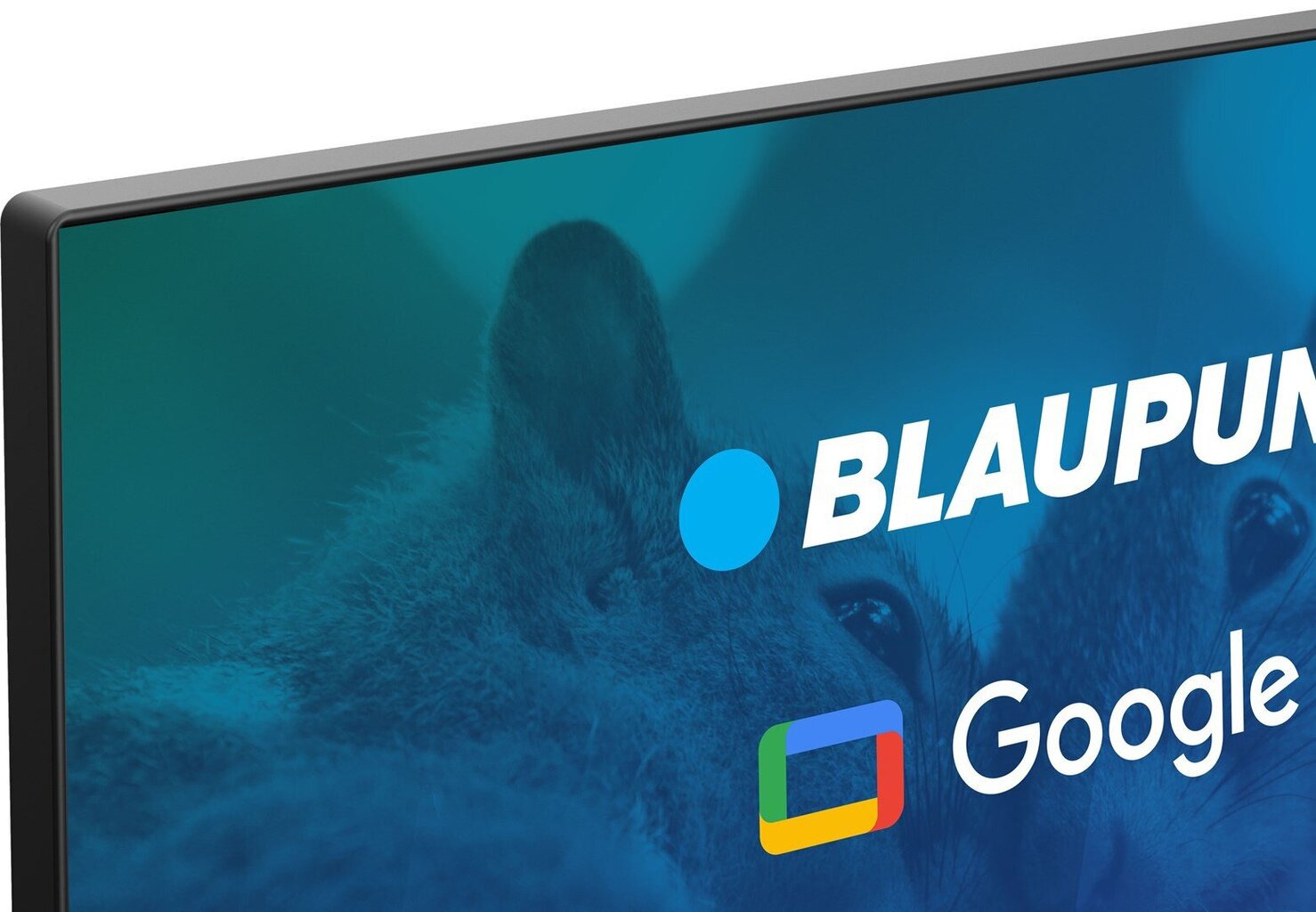 Blaupunkt 32FBG5000S цена и информация | Televiisorid | hansapost.ee