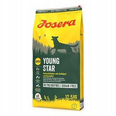 Josera Dog Youngstar Grainfree для щенков, 12,5 кг цена и информация | Сухой корм для собак | hansapost.ee