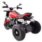 Akuga mootorratas lastele Super Toys 1600, punane hind ja info | Laste elektriautod | hansapost.ee