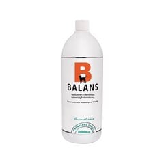 Vitabalans Probalans B-Balance toidulisand koertele, 100 ml цена и информация | Витамины, добавки, средства от паразитов для собак | hansapost.ee