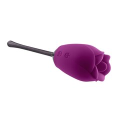 Vibraator Playboy Petal vibrator, lilla/must price and information | Vibrators | hansapost.ee