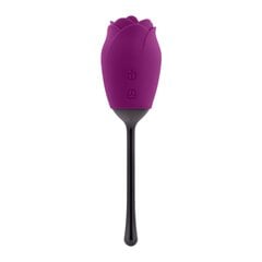 Vibraator Playboy Petal vibrator, lilla/must price and information | Vibrators | hansapost.ee