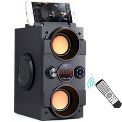 Беспроводная Bluetooth-колонка Feegar Dance, 4000 мАч, Радио, USB, SD, AUX цена и информация | Аудиоколонки | hansapost.ee