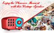 Raadiovastuvõtja Feegar Retro Bluetooth 10h SD AUX hind ja info | Raadiod ja äratuskellad | hansapost.ee