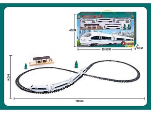 Raudtee komplekt hind ja info | Mänguasjad poistele | hansapost.ee
