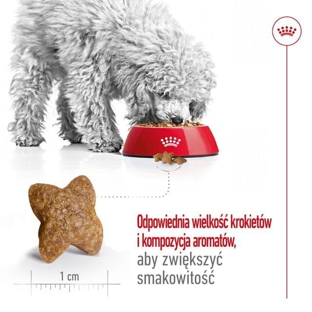 Royal Canin Adult Mini S väikestest tõugudest täiskasvanud koertele, 8 kg hind ja info | Koerte kuivtoit ja krõbinad | hansapost.ee