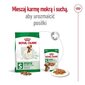 Royal Canin Adult Mini S väikestest tõugudest täiskasvanud koertele, 8 kg hind ja info | Koerte kuivtoit ja krõbinad | hansapost.ee