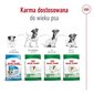 Royal Canin Adult Mini S väikestest tõugudest täiskasvanud koertele, 8 kg hind ja info | Koerte kuivtoit ja krõbinad | hansapost.ee