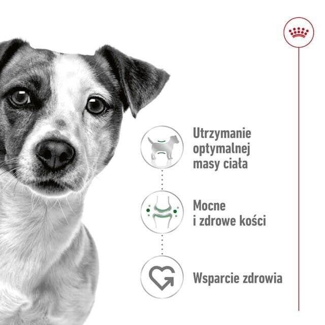 Royal Canin Adult Mini S väikestest tõugudest täiskasvanud koertele, 8 kg hind ja info | Koerte kuivtoit ja krõbinad | hansapost.ee