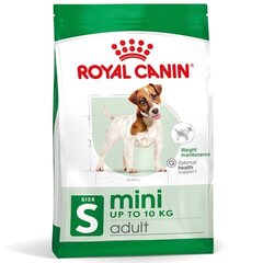 Royal Canin Adult Mini S väikestest tõugudest täiskasvanud koertele, 8 kg hind ja info | Koerte kuivtoit ja krõbinad | hansapost.ee