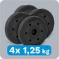 kaalukomplekt 4x1,25 kg, auk 31 mm цена и информация | Hantlid, kangid, raskused | hansapost.ee