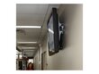 Ergotron TM Tilting Wall Mount (61-142-003) hind ja info | Monitori kinnitused | hansapost.ee