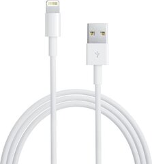 Kabel USB Apple USB-A - Lightning 2 m Biały (MD819ZM/A) цена и информация | Borofone 43757-uniw | hansapost.ee