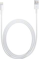 Kabel USB Apple USB-A - Lightning 2 m Biały (MD819ZM/A) цена и информация | Borofone 43757-uniw | hansapost.ee