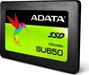 ADATA ASU650SS-256GT-R цена и информация | Sisemised kõvakettad | hansapost.ee