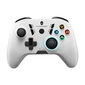 Thunderobot BT Gamepad G35 White цена и информация | Mängupuldid | hansapost.ee