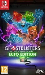 Ghostbusters: Spirits Unleashed (Ecto Edition) hind ja info | Konsooli- ja arvutimängud | hansapost.ee