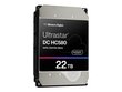 Dysk serwerowy HDD Western Digital Ultrastar DC HC580 WUH722422ALE6L4 (22 TB; 3.5"; SATA III) цена и информация | Sisemised kõvakettad | hansapost.ee