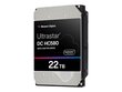 Dysk serwerowy HDD Western Digital Ultrastar DC HC580 WUH722422ALE6L4 (22 TB; 3.5"; SATA III) цена и информация | Sisemised kõvakettad | hansapost.ee