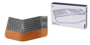 Lenovo Go Split (GY41C33969) цена и информация | Клавиатура с игровой мышью 3GO COMBODRILEW2 USB ES | hansapost.ee