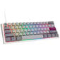 Ducky One 3 Mist Grey Mini RGB LED MX-Ergo-Clear (DKON2161ST-EUSPDMIWHHC2) hind ja info | Klaviatuurid | hansapost.ee