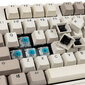 Ducky Origin Vintage Cherry MX-Blue (DKOR2308A-CCUSPDOEVINHH1) цена и информация | Klaviatuurid | hansapost.ee