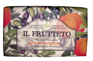 Мыло Nesti Dante Il Frutteto на основе мандарина и оливкового масла, 250 г цена и информация | Мыло | hansapost.ee