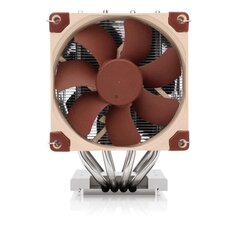 Noctua NH-D9 TR5-SP6 цена и информация | Кулеры для процессоров | hansapost.ee